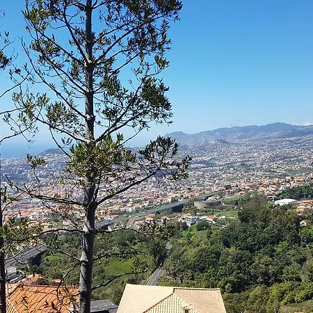 Hostel Madeira Happy